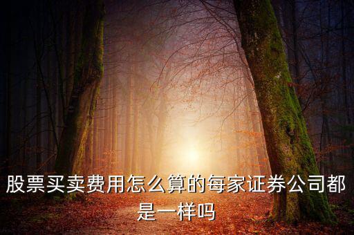 股票買(mǎi)賣(mài)怎么算,股票買(mǎi)賣(mài)費(fèi)用怎么算的