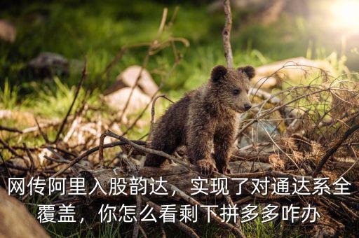 網(wǎng)傳阿里入股韻達(dá)，實現(xiàn)了對通達(dá)系全覆蓋，你怎么看剩下拼多多咋辦