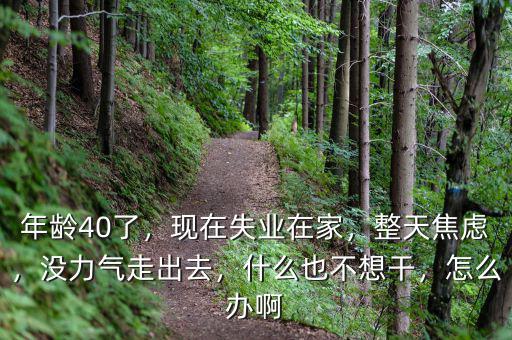 年齡40了，現(xiàn)在失業(yè)在家，整天焦慮，沒力氣走出去，什么也不想干，怎么辦啊