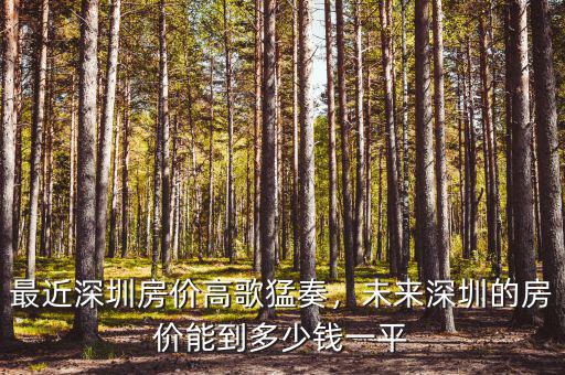 最近深圳房?jī)r(jià)高歌猛奏，未來深圳的房?jī)r(jià)能到多少錢一平