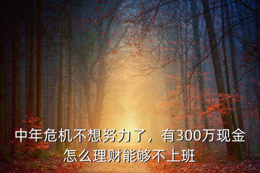 中年危機(jī)不想努力了，有300萬(wàn)現(xiàn)金怎么理財(cái)能夠不上班