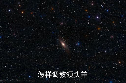 怎樣調教領頭羊