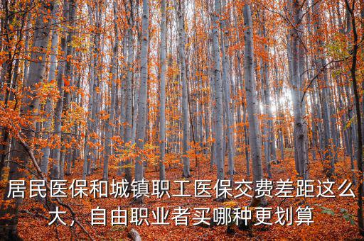 居民醫(yī)保和城鎮(zhèn)職工醫(yī)保交費差距這么大，自由職業(yè)者買哪種更劃算