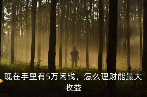 現(xiàn)在手里有5萬閑錢，怎么理財(cái)能最大收益