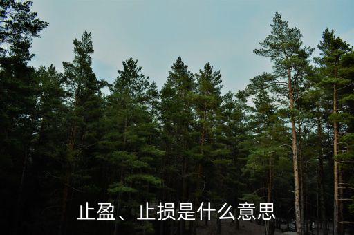 止盈、止損是什么意思
