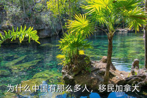 為什么中國(guó)有那么多人，移民加拿大