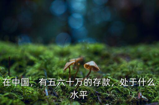 在中國(guó)，有五六十萬(wàn)的存款，處于什么水平