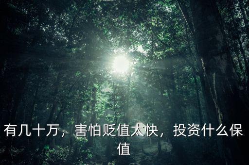 有幾十萬，害怕貶值太快，投資什么保值