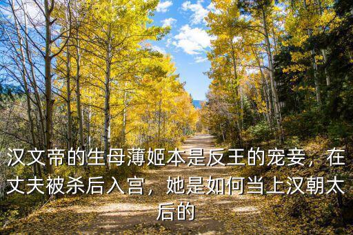 漢文帝的生母薄姬本是反王的寵妾，在丈夫被殺后入宮，她是如何當(dāng)上漢朝太后的