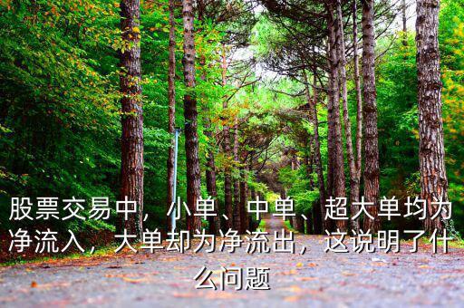 股票交易中，小單、中單、超大單均為凈流入，大單卻為凈流出，這說(shuō)明了什么問(wèn)題