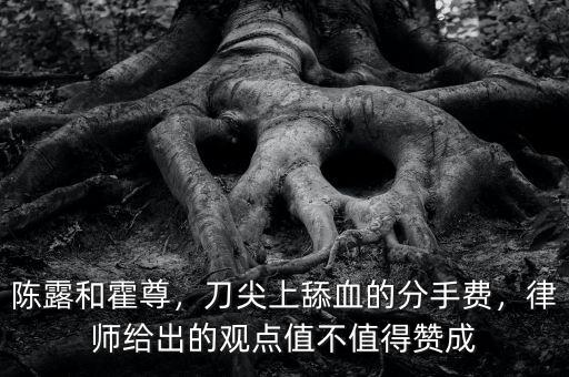 陳露和霍尊，刀尖上舔血的分手費(fèi)，律師給出的觀點(diǎn)值不值得贊成