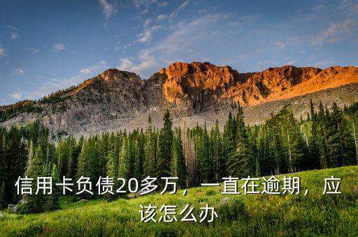 信用卡負(fù)債20多萬，一直在逾期，應(yīng)該怎么辦
