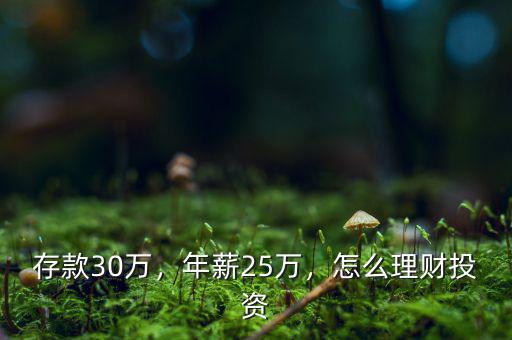 存款30萬，年薪25萬，怎么理財投資
