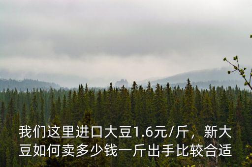 我們這里進(jìn)口大豆1.6元/斤，新大豆如何賣多少錢一斤出手比較合適