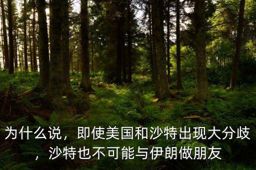 為什么說，即使美國和沙特出現(xiàn)大分歧，沙特也不可能與伊朗做朋友