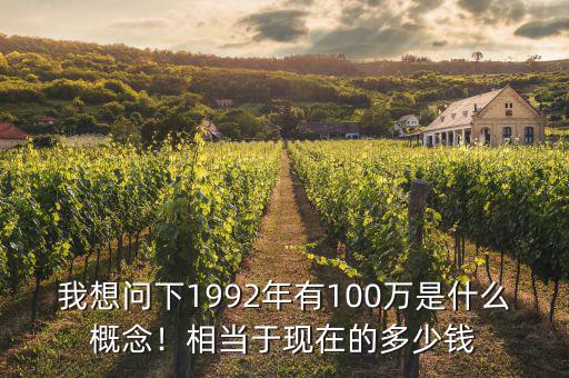 我想問下1992年有100萬是什么概念！相當(dāng)于現(xiàn)在的多少錢