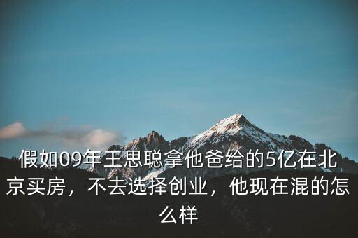 假如09年王思聰拿他爸給的5億在北京買房，不去選擇創(chuàng)業(yè)，他現(xiàn)在混的怎么樣