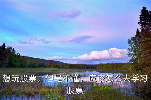 想玩股票，但是不懂，應(yīng)該怎么去學(xué)習(xí)股票
