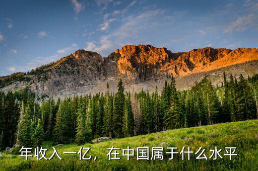 年收入一億，在中國屬于什么水平