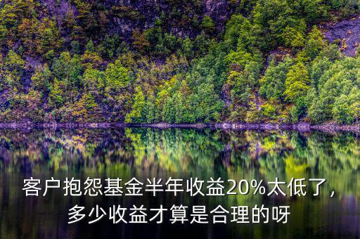 客戶抱怨基金半年收益20%太低了，多少收益才算是合理的呀