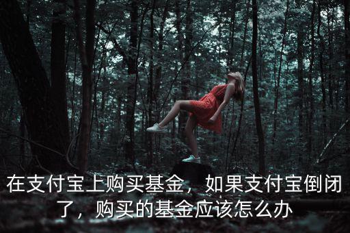 在支付寶上購買基金，如果支付寶倒閉了，購買的基金應(yīng)該怎么辦