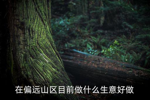 偏遠(yuǎn)城市做什么項(xiàng)目,可用5年。做什么項(xiàng)目好呢