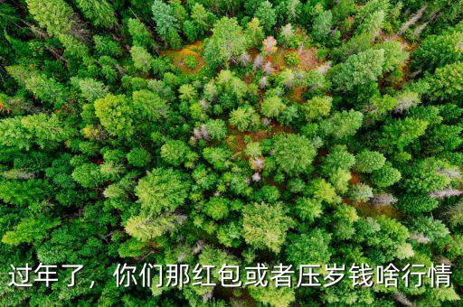 過年了，你們那紅包或者壓歲錢啥行情