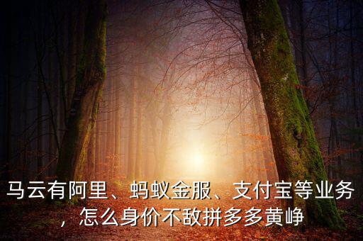馬云有阿里、螞蟻金服、支付寶等業(yè)務(wù)，怎么身價不敵拼多多黃崢