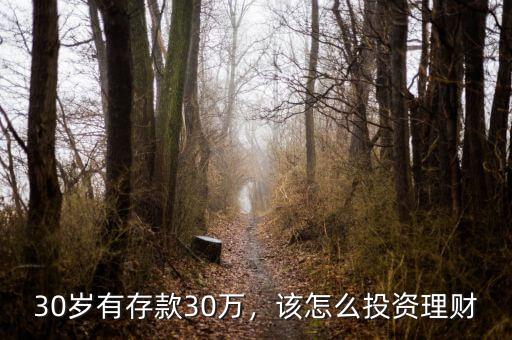 30歲有存款30萬，該怎么投資理財