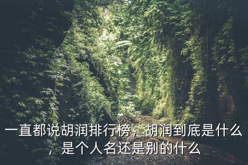 一直都說胡潤排行榜，胡潤到底是什么，是個人名還是別的什么