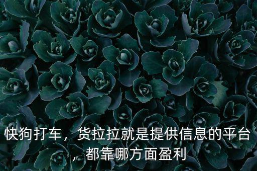 快狗打車，貨拉拉就是提供信息的平臺，都靠哪方面盈利