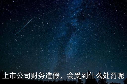 上市公司財務造假，會受到什么處罰呢