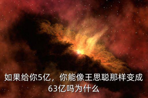 如果給你5億，你能像王思聰那樣變成63億嗎為什么