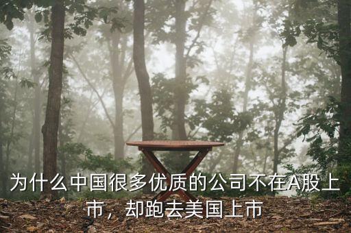 為什么中國很多優(yōu)質(zhì)的公司不在A股上市，卻跑去美國上市