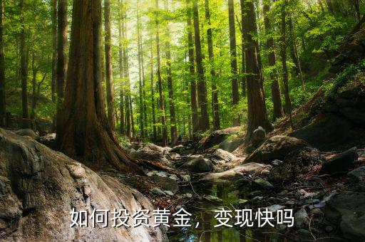 如何投資黃金，變現(xiàn)快嗎