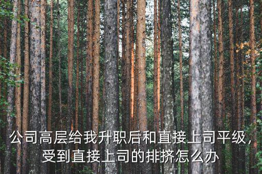 公司高層給我升職后和直接上司平級(jí)，受到直接上司的排擠怎么辦
