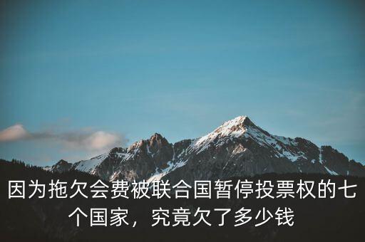 因?yàn)橥锨窌?huì)費(fèi)被聯(lián)合國(guó)暫停投票權(quán)的七個(gè)國(guó)家，究竟欠了多少錢(qián)