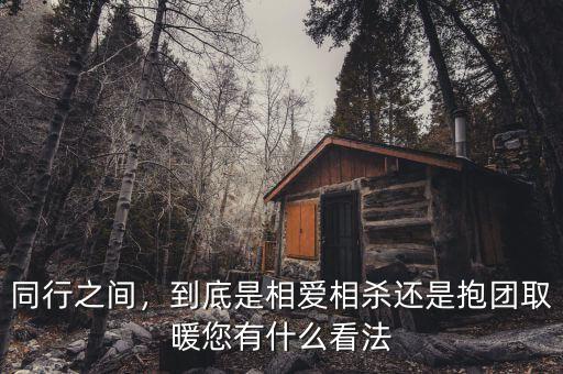 同行之間，到底是相愛相殺還是抱團(tuán)取暖您有什么看法