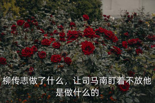 柳傳志做了什么，讓司馬南盯著不放他是做什么的