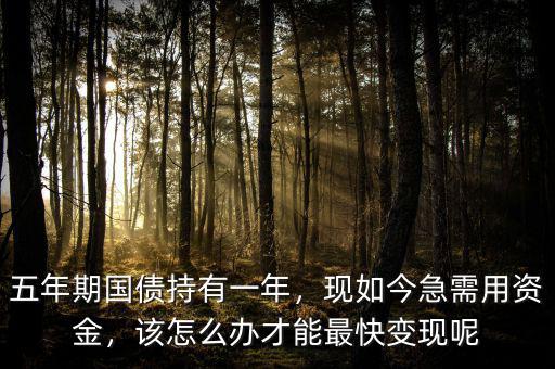 五年期國債持有一年，現(xiàn)如今急需用資金，該怎么辦才能最快變現(xiàn)呢
