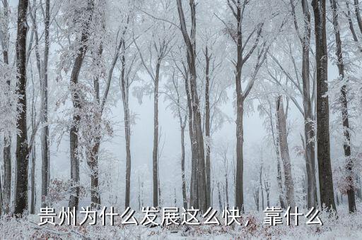 貴州為什么發(fā)展這么快，靠什么