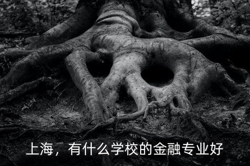 上海，有什么學(xué)校的金融專業(yè)好