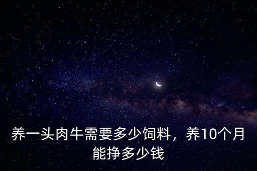 養(yǎng)一頭肉牛需要多少飼料，養(yǎng)10個(gè)月能掙多少錢