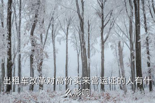 出租車改革買(mǎi)什么股,現(xiàn)在買(mǎi)出租車手續(xù)有什么風(fēng)險(xiǎn)