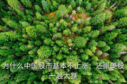 為什么中國股市基本不上漲，還跟美股一起大跌