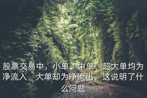 股票交易中，小單、中單、超大單均為凈流入，大單卻為凈流出，這說明了什么問題