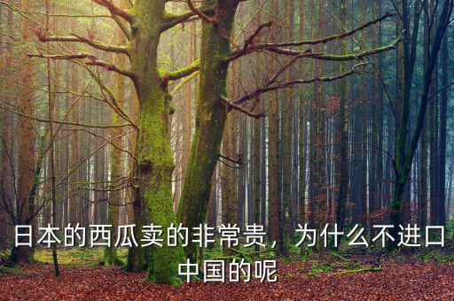 日本的西瓜賣的非常貴，為什么不進(jìn)口中國(guó)的呢