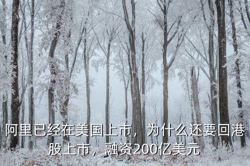 阿里已經(jīng)在美國上市，為什么還要回港股上市，融資200億美元