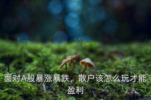 面對A股暴漲暴跌，散戶該怎么玩才能盈利