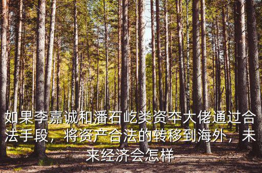 如果李嘉誠和潘石屹類資夲大佬通過合法手段，將資產(chǎn)合法的轉(zhuǎn)移到海外，未來經(jīng)濟會怎樣